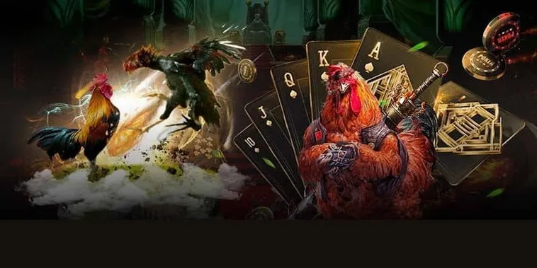 Cách Chơi Đá Gà 3D Tại 98WIN Hấp Dẫn Thu Hút Mọi Kê Thủ