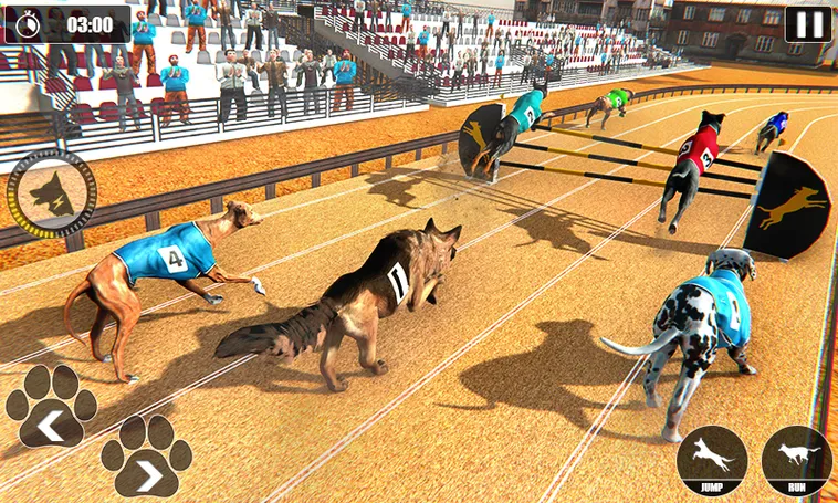 Cách Chơi Game Nhanh Đua Chó Tại 98WIN Thắng Lớn